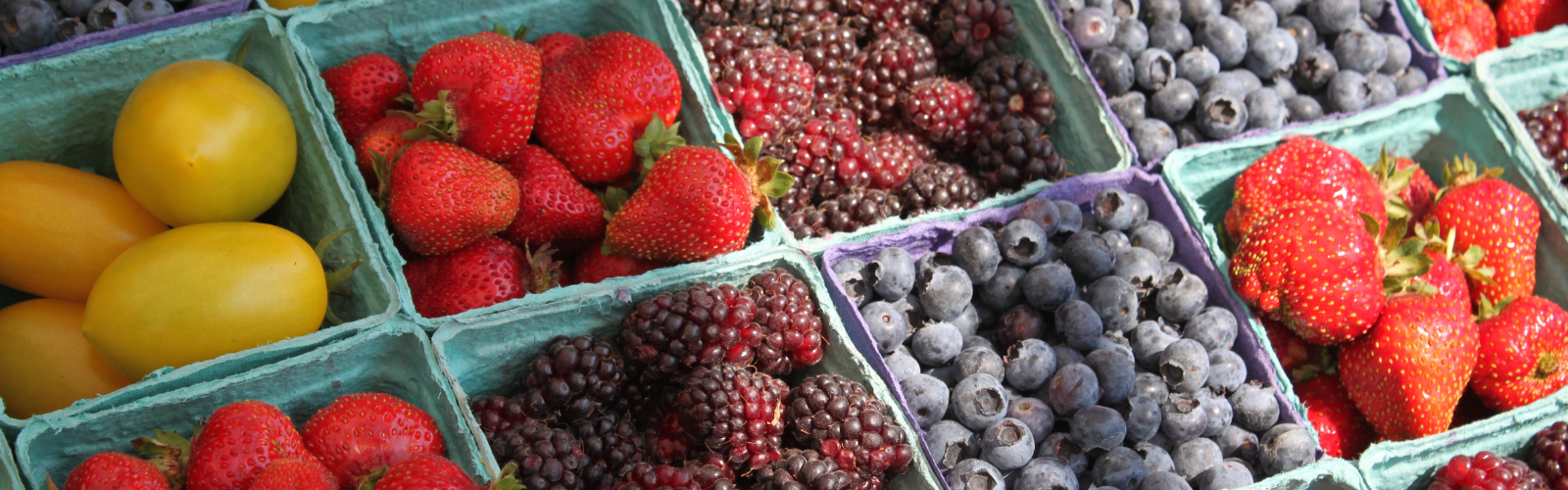 modernisering warenmarkten