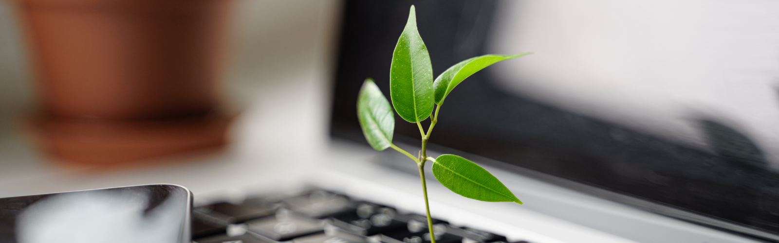 duurzaamheid als strategische koers