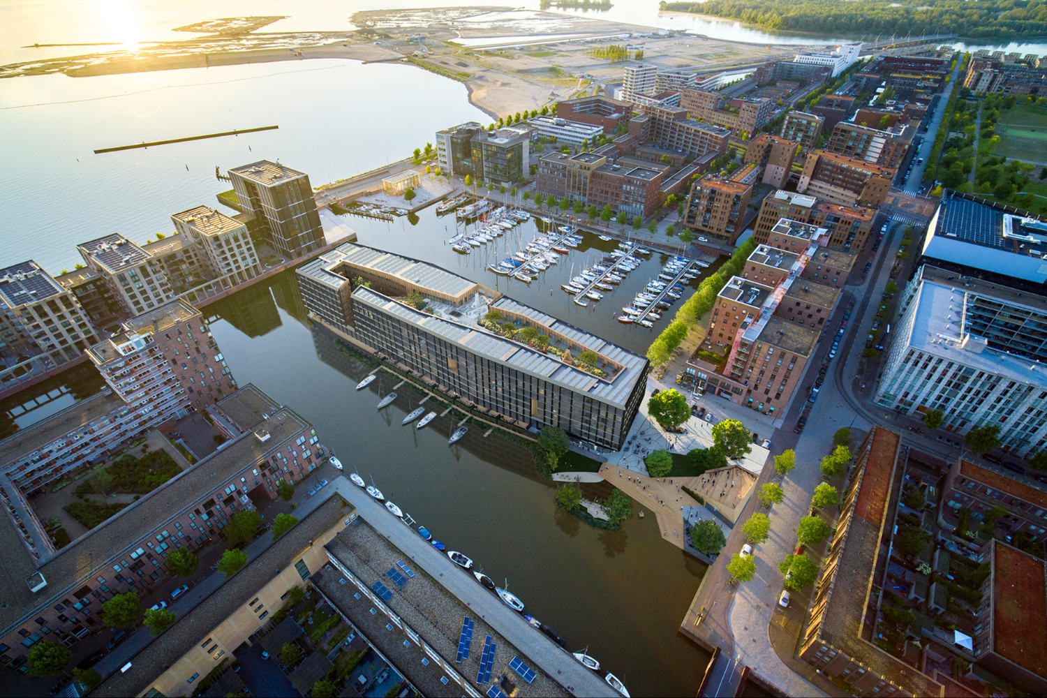 DZP - artikelen - tegel