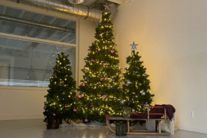 DZP - fijne feestdagen